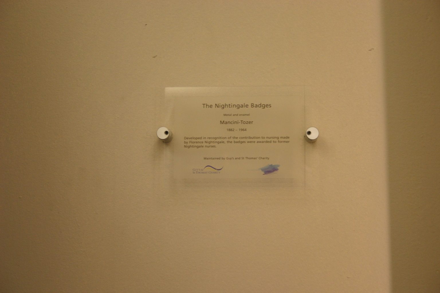 The Nigtingale Badges, St Thomas', London - 04.JPG